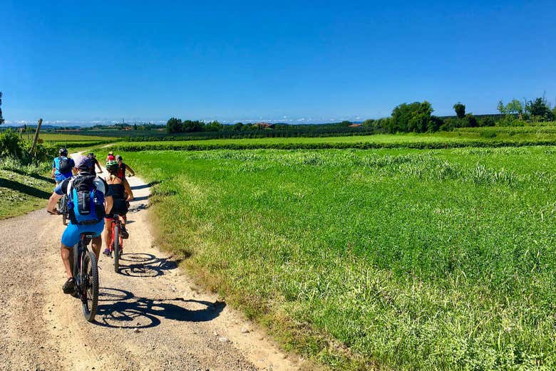 Pedaling through the cultivated areas of Lazise