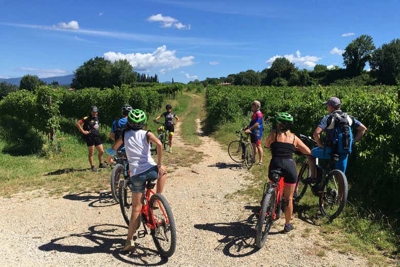 E-bike tour through the vineyards of Lazise