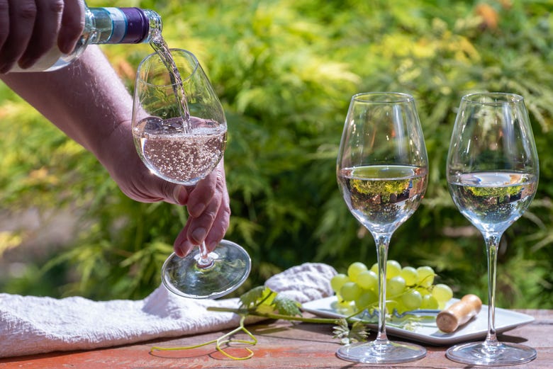 Dégustation de vins dans les vignobles de Lazise