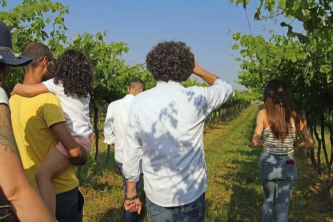 Nella fattoria biodinamica
