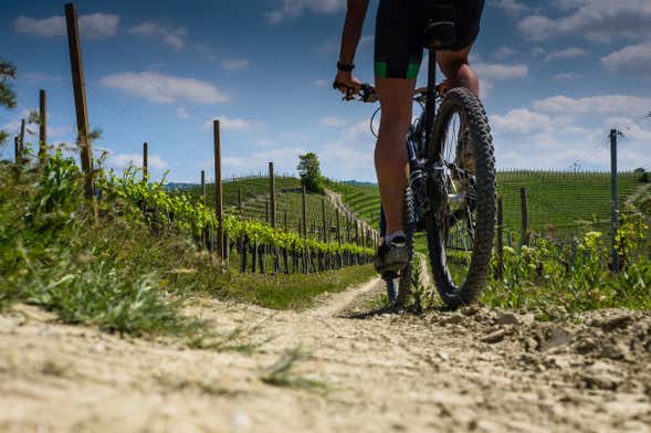 Lazise Vineyards E-Bike Tour and Wine Tasting
