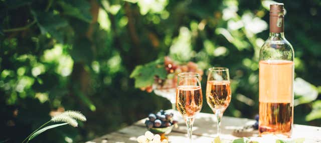 Visita a una granja biodinámica + Cata de vinos