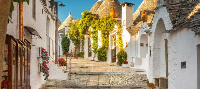 Excursión a Alberobello, Polignano a Mare y Ostuni