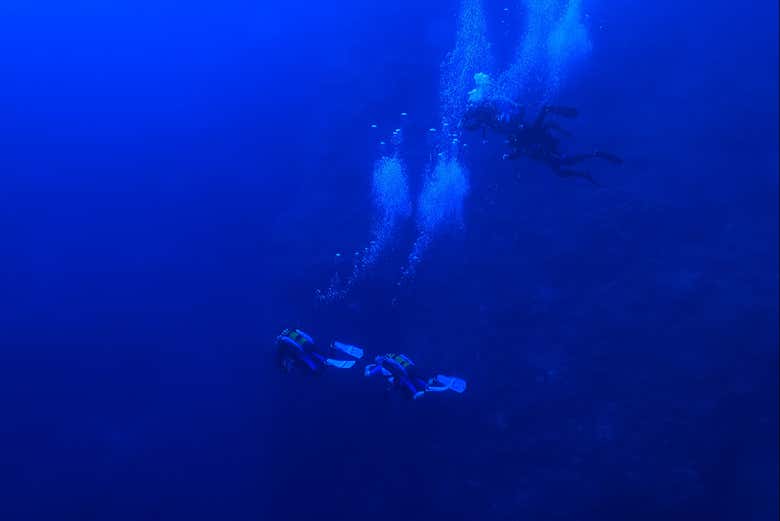 Nagez dans les profondeurs de la mer