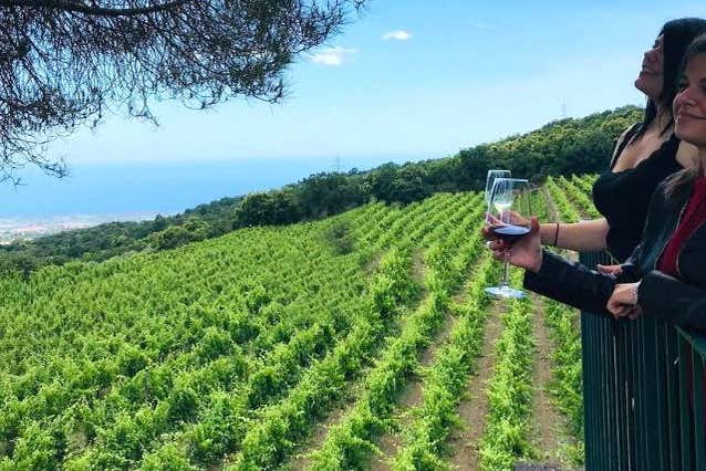 Prenez un verre de vin en face des vignobles