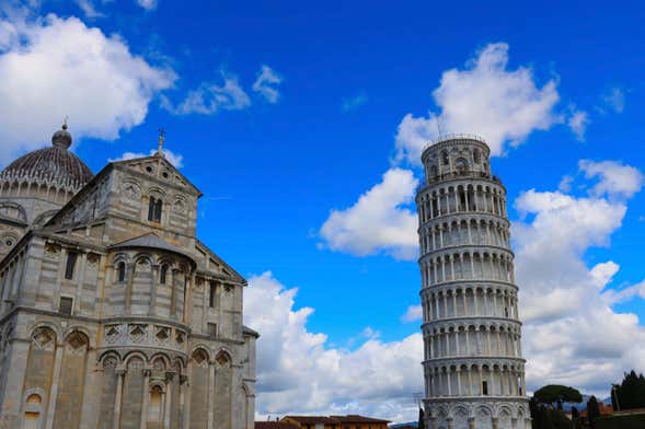 Autobús turístico de Livorno + Transporte a Pisa