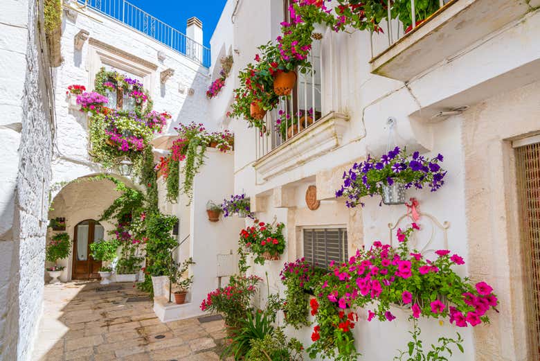 Pots de fleurs à Cisternino