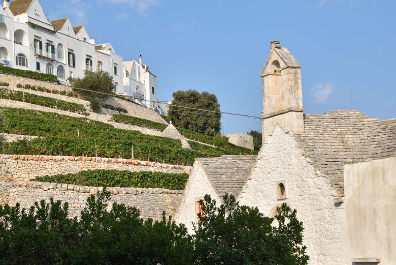 Scorcio di Locorotondo