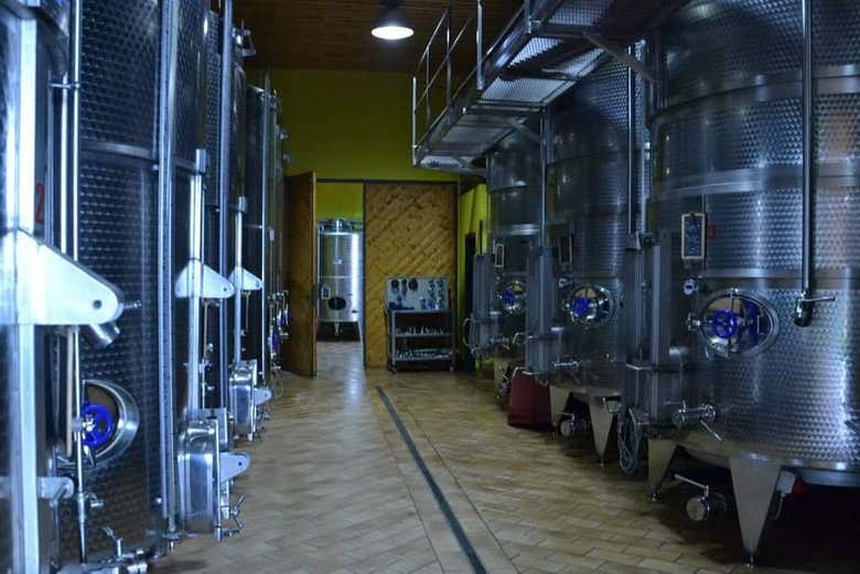 La salle des cuves