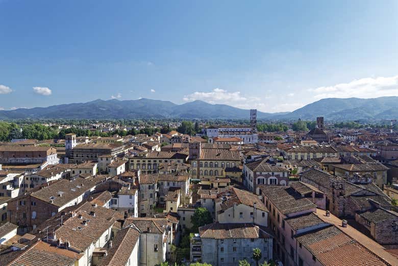 Vue panoramique sur le centre historique de Lucques