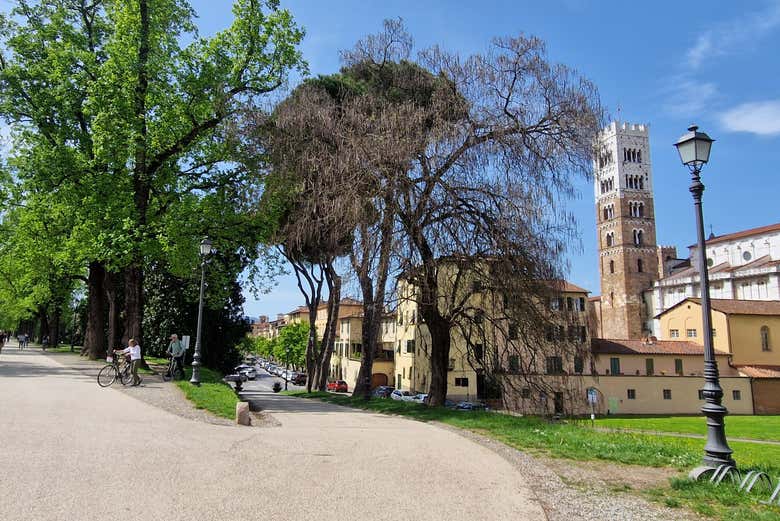 Uno scorcio di Lucca
