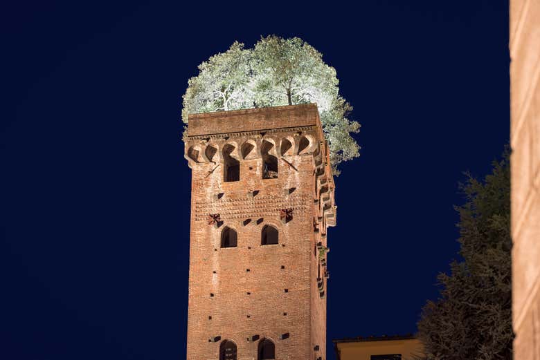 Torre del Guinigi di sera