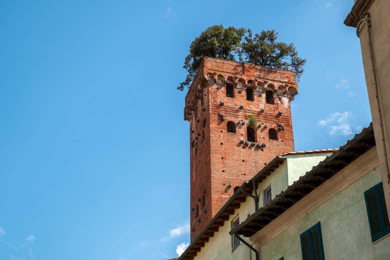 La tour Guinigi