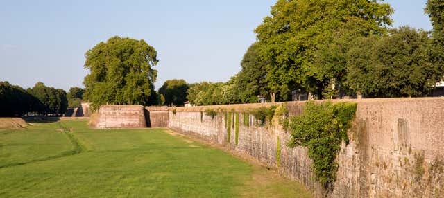 Visita guiada por las murallas de Lucca