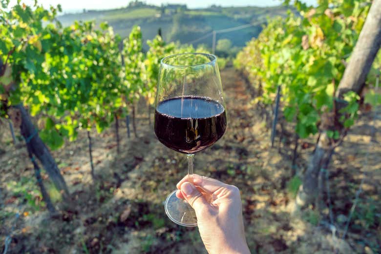 I vigneti della Valdichiana