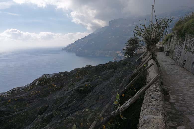 Sentier des citrons