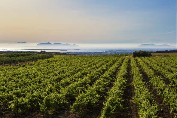 Degustazione di vino a Marsala