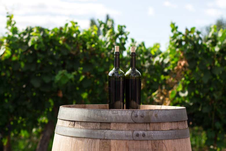 Dégustation de vins