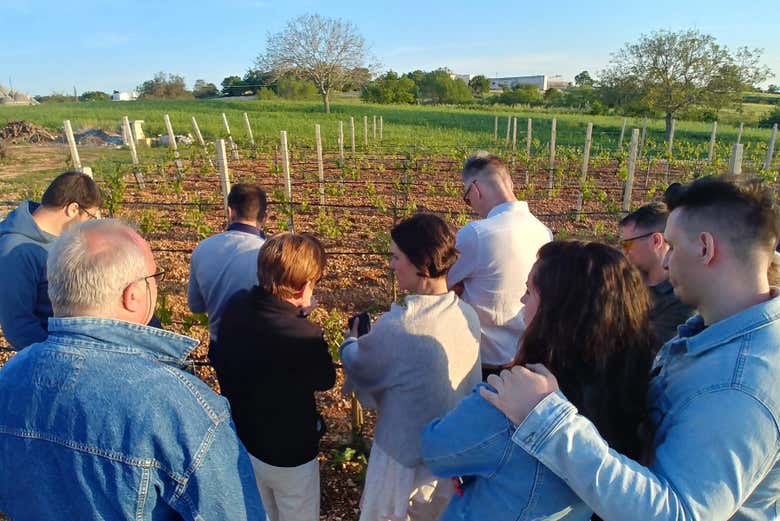 Visite de la vallée d'Itria