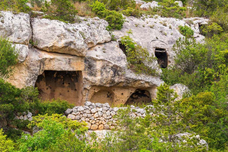 Detalle de las cuevas del parque de la Murgia Materana
