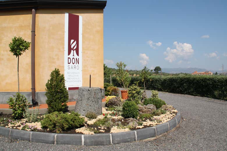 In the Don Saro winery