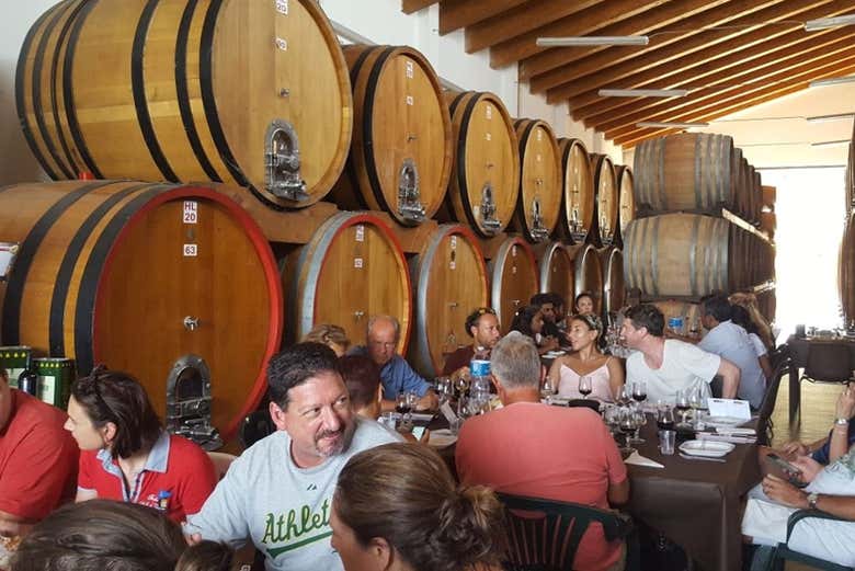 Pranzando nella cantina