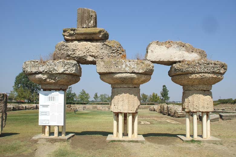 Parco archeologico di Metaponto