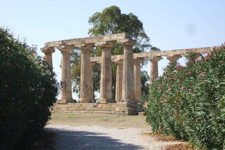 Contemplando las Mesas Palatinas
