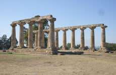 Metaponto Archaeological Park Private Visit