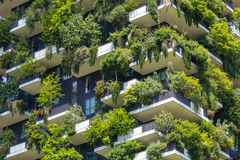 Jardin vertical