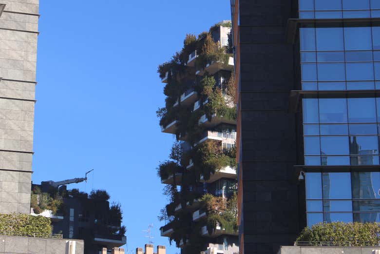 Spot the vertical gardens in the city