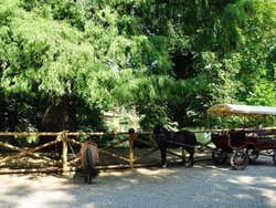 Jardins Públicos de Milão, Pôneis