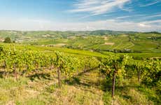 Oltrepò Pavese Wine Tour