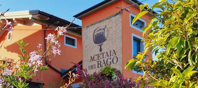 Tour di Modena + Visita di una cantina di aceto balsamico