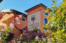 Tour por Módena + Visita a una bodega de vinagre balsámico