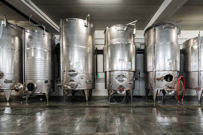See how wine is made from grape to bottle