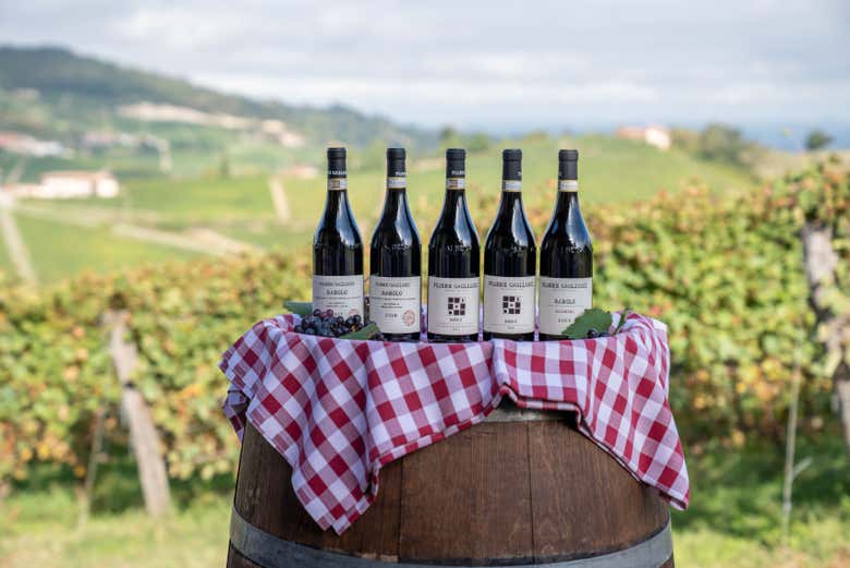 Learn about different kinds of wines