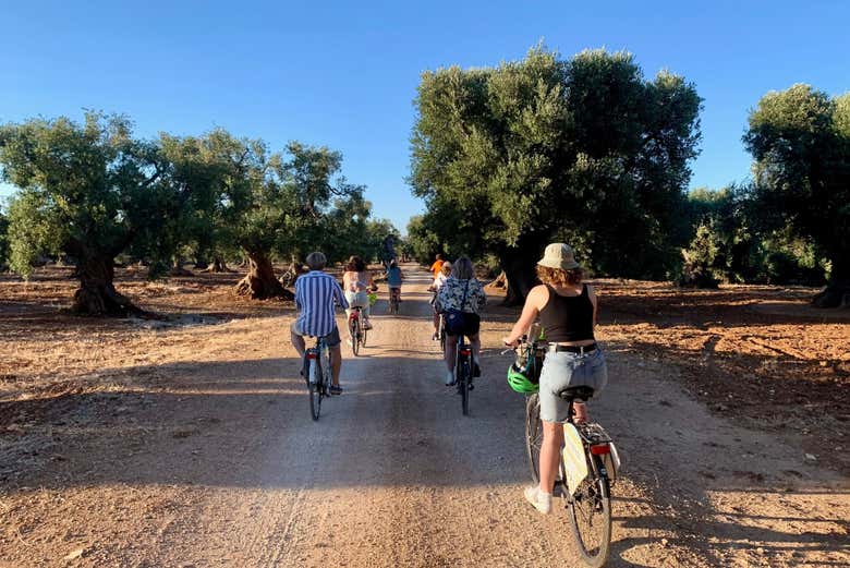 Giro in bicicletta in campagna
