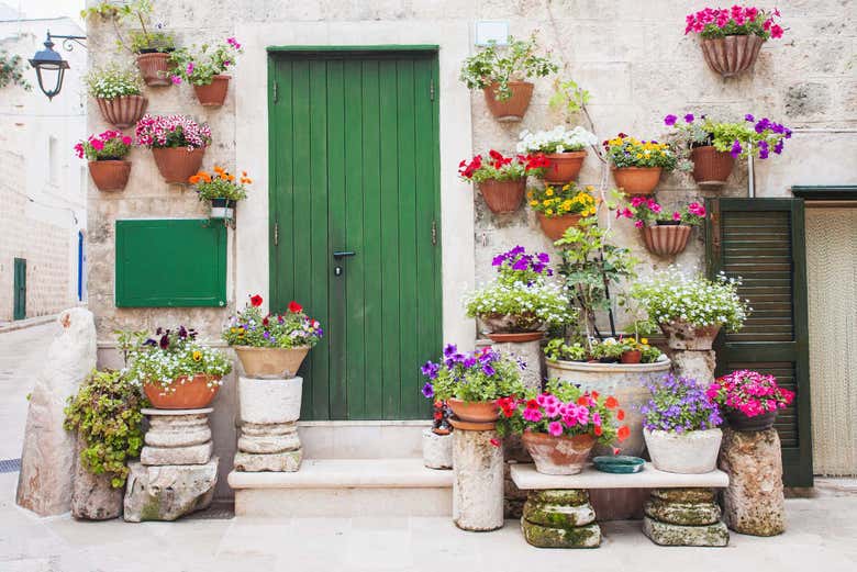 Fiori nelle strade di Monopoli