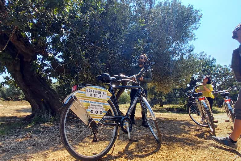 Biciclette nella zona rurale di  Monopoli