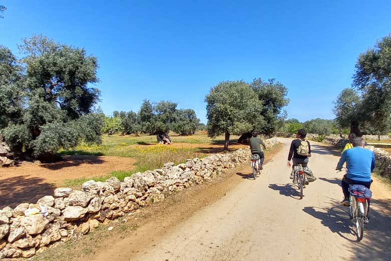 Ciclisti nelle campagne di Monopoli