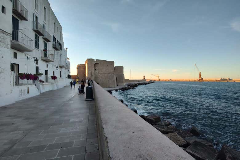 Porto e Castello di Carlo V