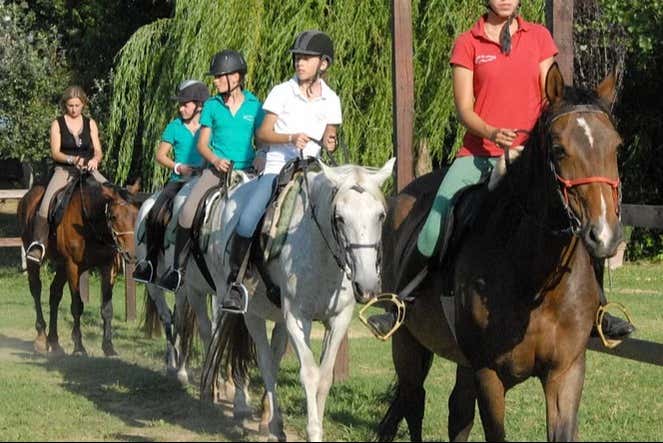 Connect with nature for a day