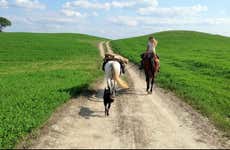 Paseo a caballo por la Reserva Natural Padule di Fucecchio