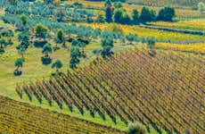 Horseback Riding in the Tuscan Countryside