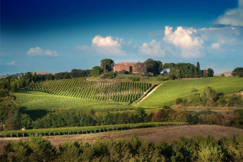 Vue panoramique sur le domaine viticole
