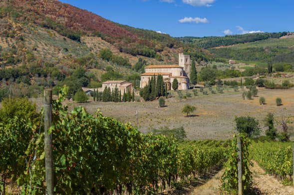 Visite privée de Montalcino et de l'abbaye de Sant'Antimo