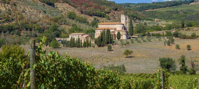 Montalcino & Abbey of Sant'Antimo Private Tour