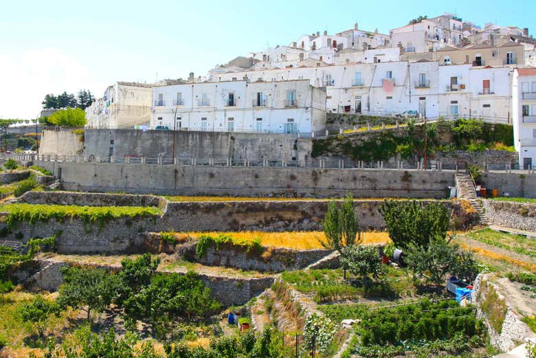 Visita guidata di Monte Sant'Angelo