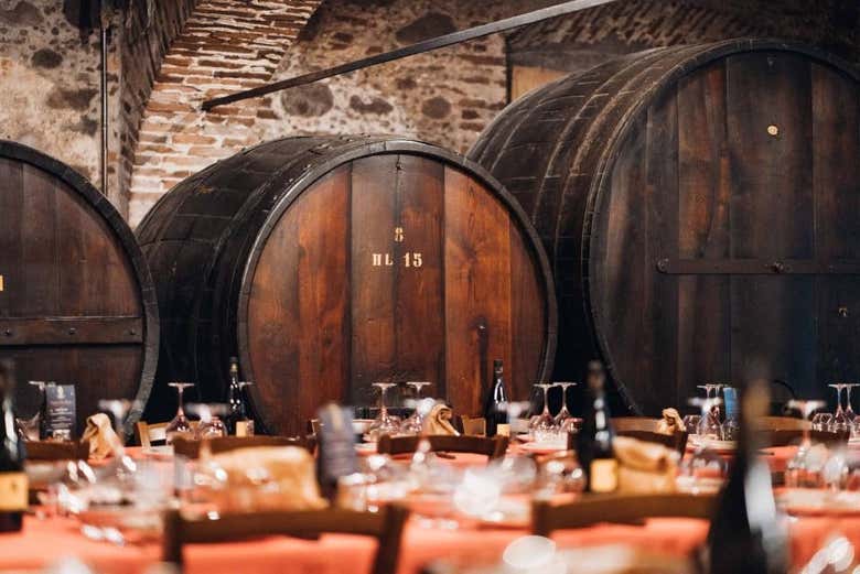 Explore the flavours of Tuscan wine